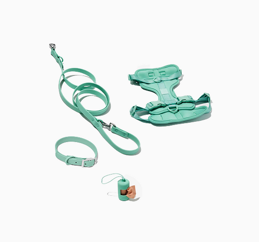 Kit Paseo old